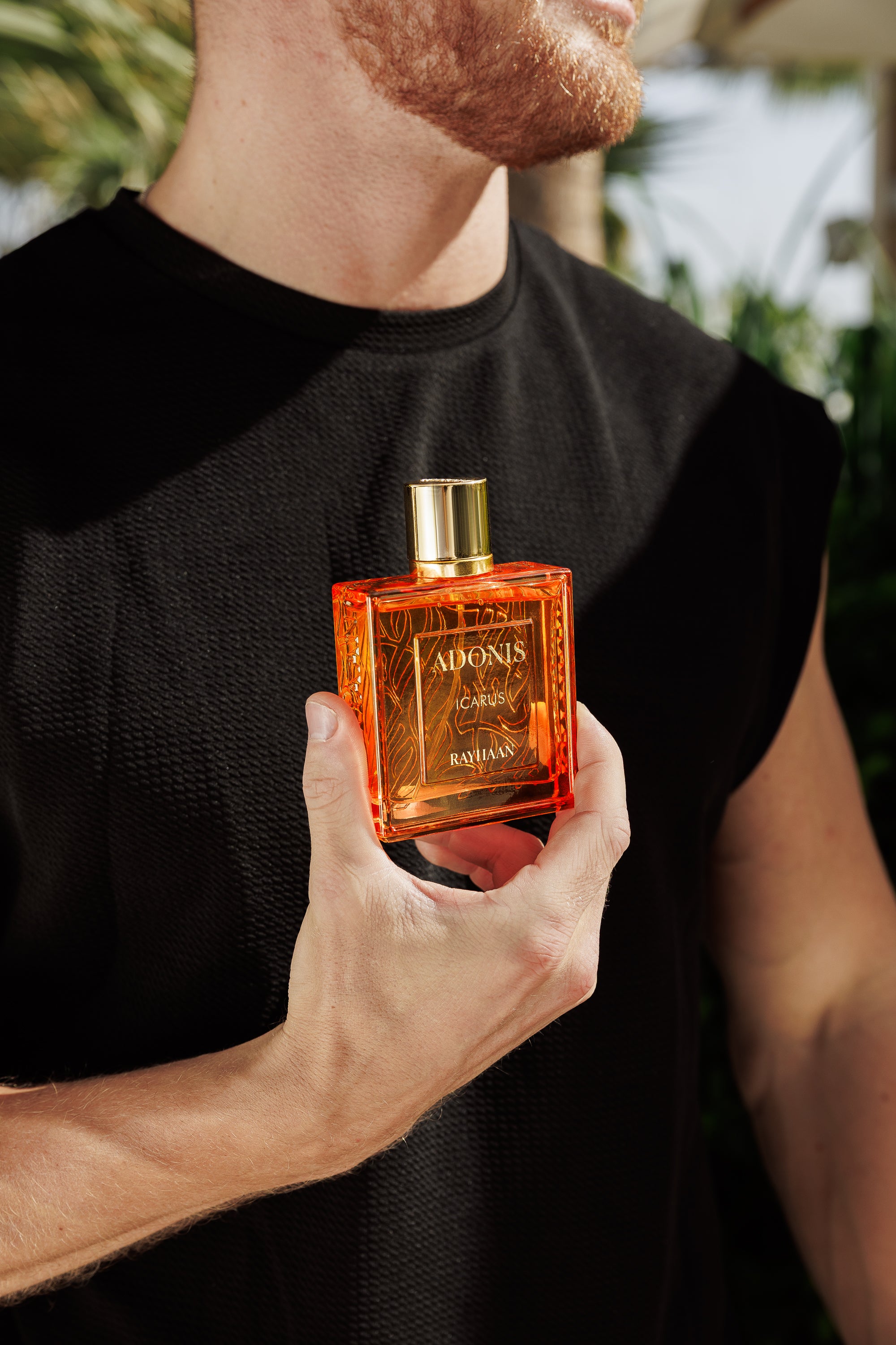 Adonis Icarus